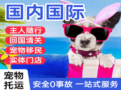 秦皇岛北戴河机场快递国际宠物托运 【国